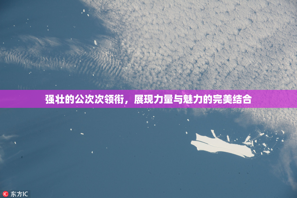 强壮的公次次领衔，展现力量与魅力的完美结合