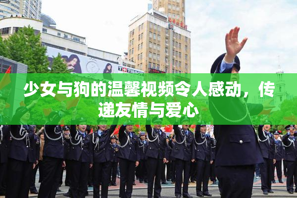 少女与狗的温馨视频令人感动，传递友情与爱心