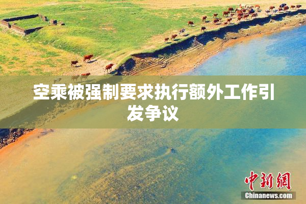 空乘被强制要求执行额外工作引发争议