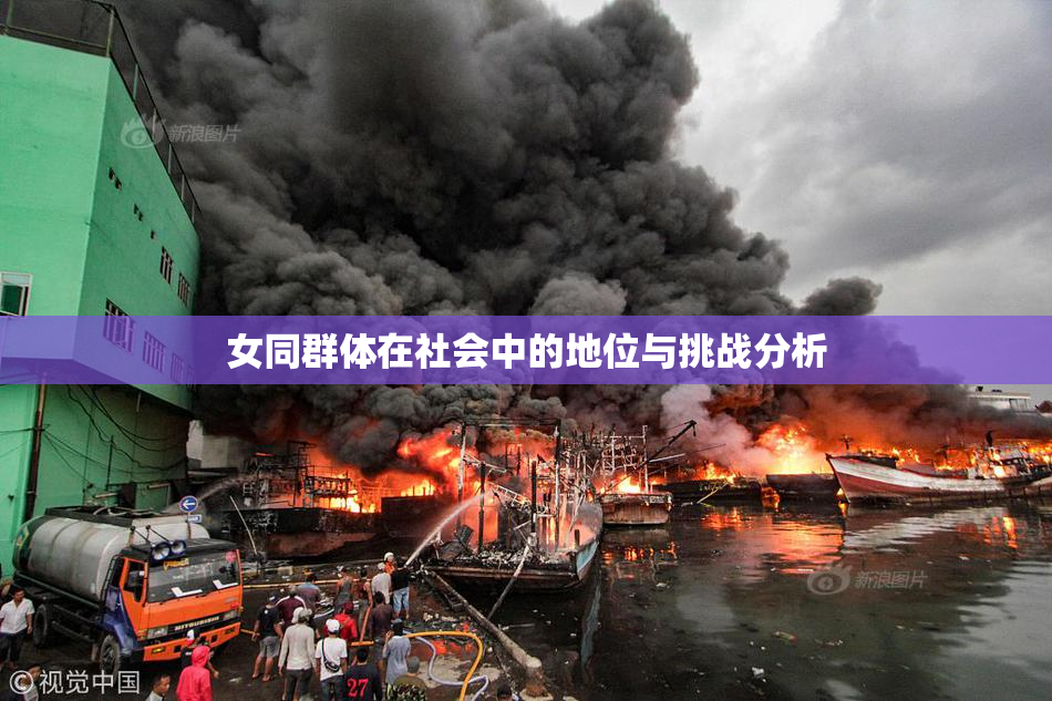 女同群体在社会中的地位与挑战分析