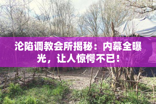 沦陷调教会所揭秘：内幕全曝光，让人惊愕不已！