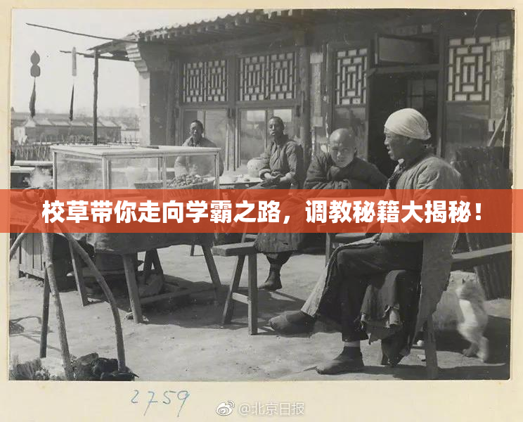 校草带你走向学霸之路，调教秘籍大揭秘！
