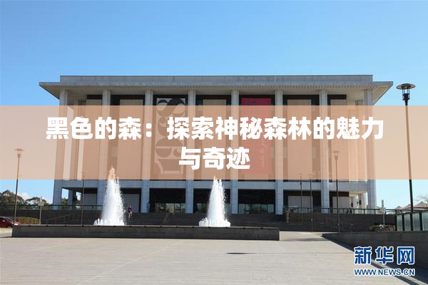 黑色的森：探索神秘森林的魅力与奇迹