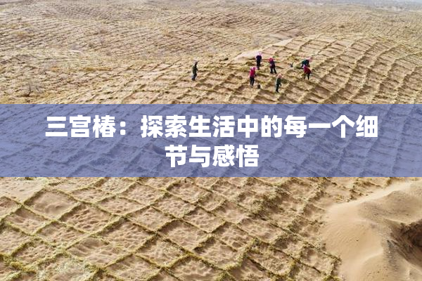 三宫椿：探索生活中的每一个细节与感悟
