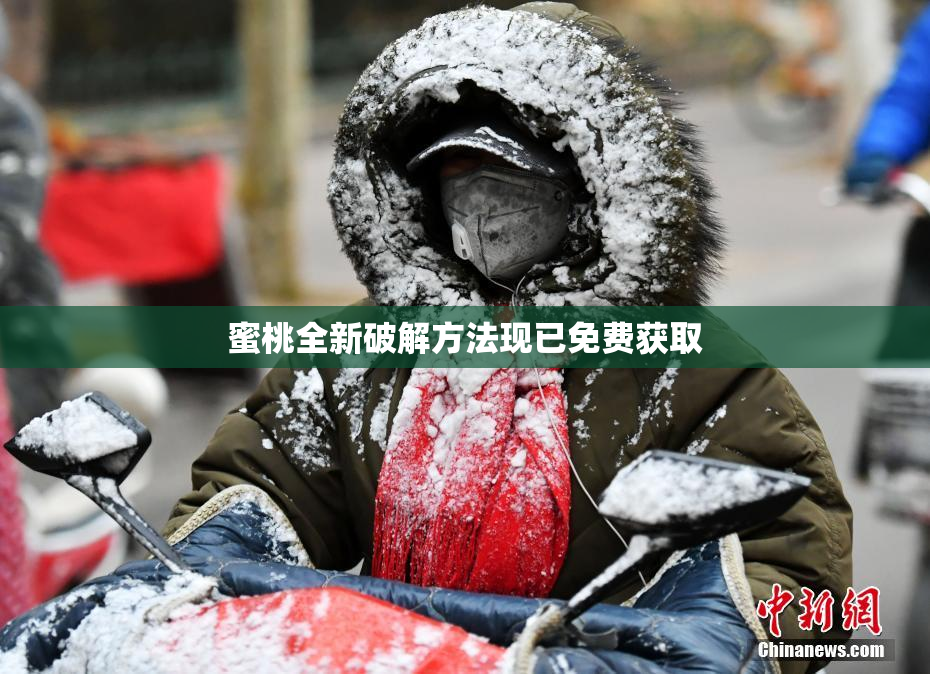 蜜桃全新破解方法现已免费获取