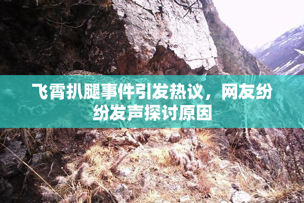 飞霄扒腿事件引发热议，网友纷纷发声探讨原因