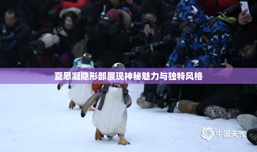 夏思凝隐形部展现神秘魅力与独特风格