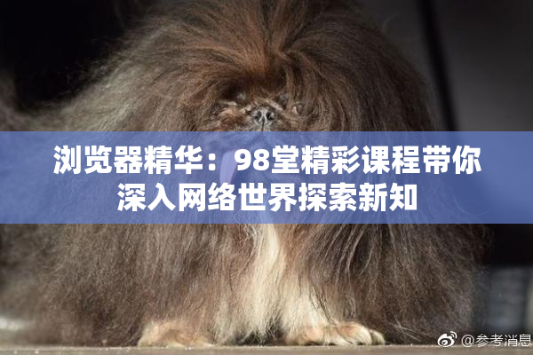 浏览器精华：98堂精彩课程带你深入网络世界探索新知