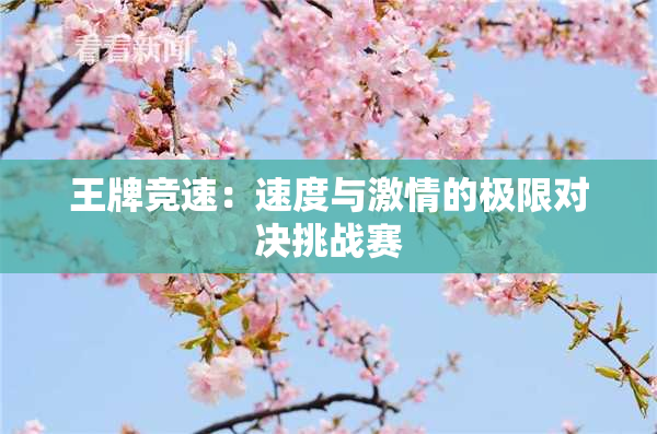 王牌竞速：速度与激情的极限对决挑战赛
