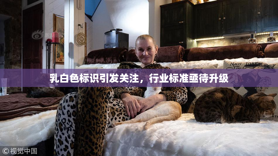 乳白色标识引发关注，行业标准亟待升级