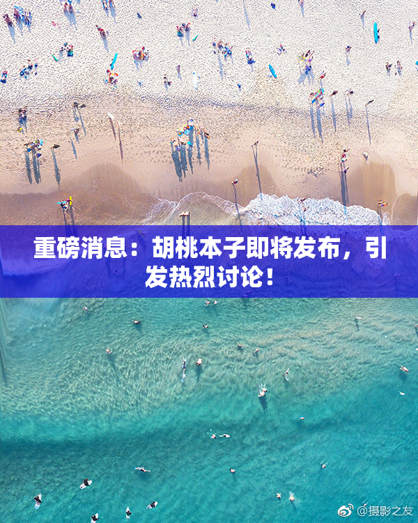 重磅消息：胡桃本子即将发布，引发热烈讨论！