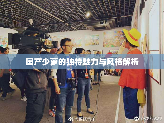 国产少萝的独特魅力与风格解析