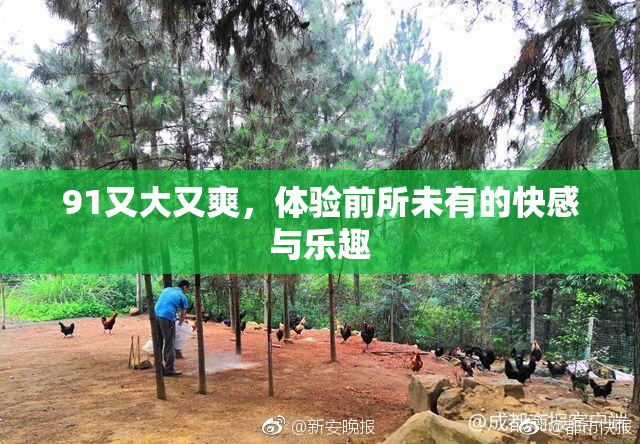 91又大又爽，体验前所未有的快感与乐趣