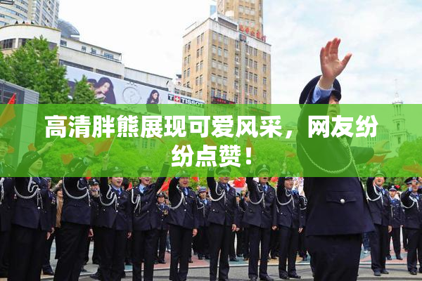 高清胖熊展现可爱风采，网友纷纷点赞！