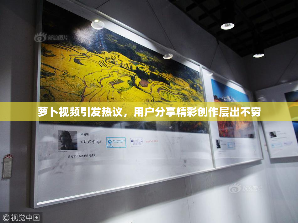 萝卜视频引发热议，用户分享精彩创作层出不穷