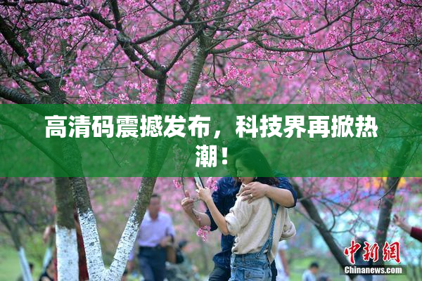 高清码震撼发布，科技界再掀热潮！