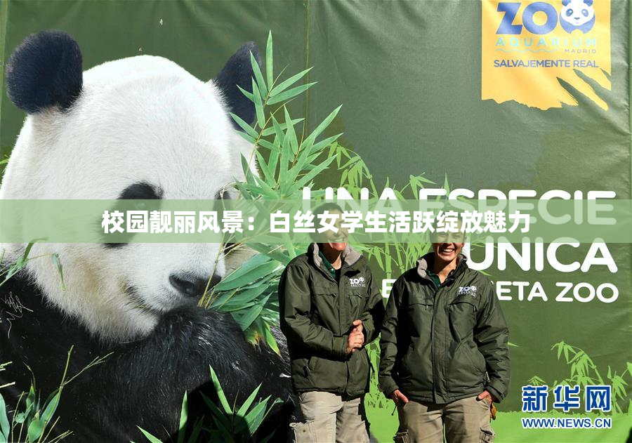 校园靓丽风景：白丝女学生活跃绽放魅力
