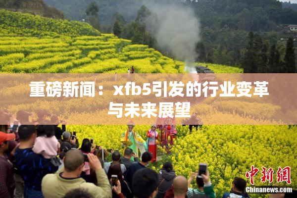重磅新闻：xfb5引发的行业变革与未来展望