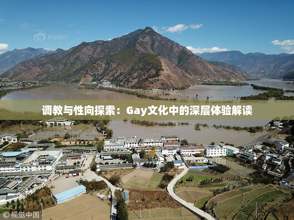 调教与性向探索：Gay文化中的深层体验解读