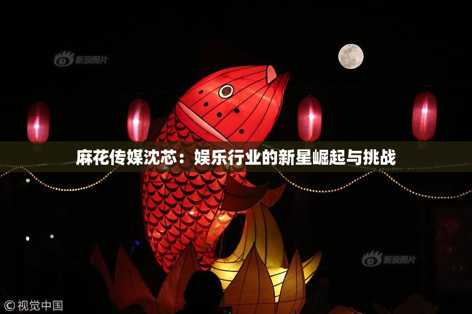 麻花传媒沈芯：娱乐行业的新星崛起与挑战