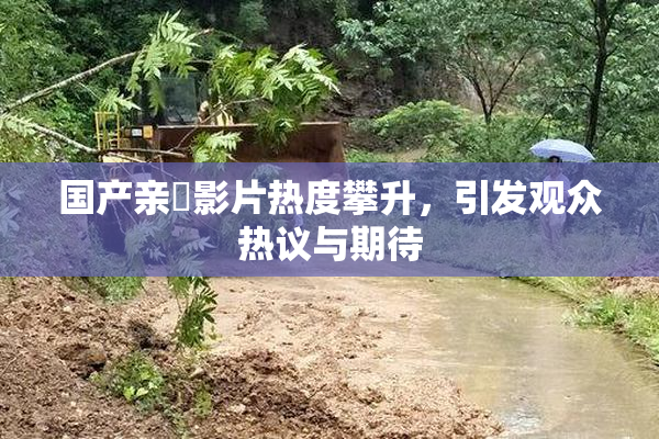 国产亲妺影片热度攀升，引发观众热议与期待
