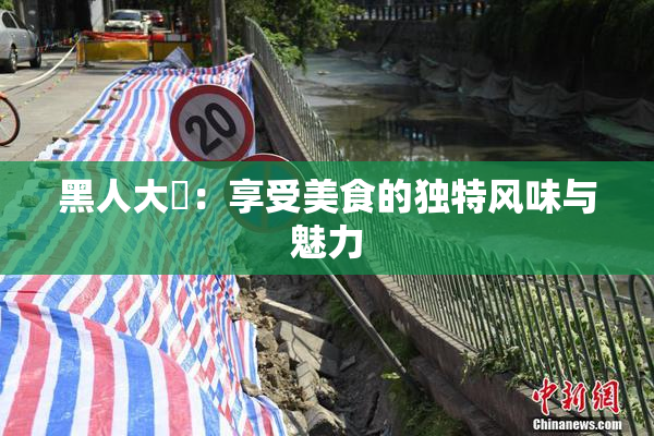 黑人大鷄：享受美食的独特风味与魅力