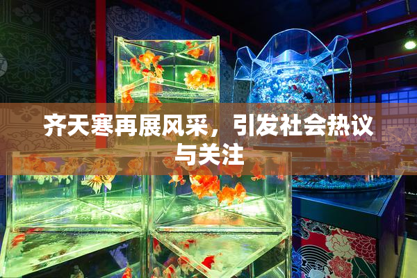 齐天寒再展风采，引发社会热议与关注