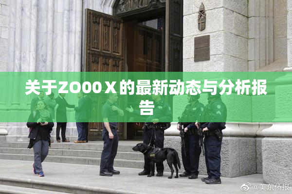 关于ZO00Ⅹ的最新动态与分析报告
