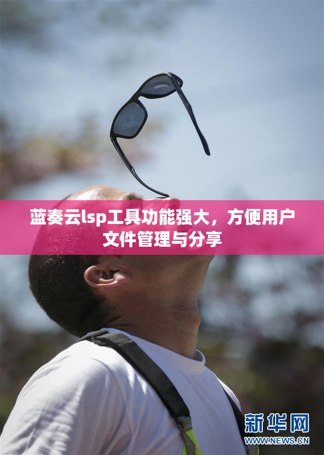 蓝奏云lsp工具功能强大，方便用户文件管理与分享