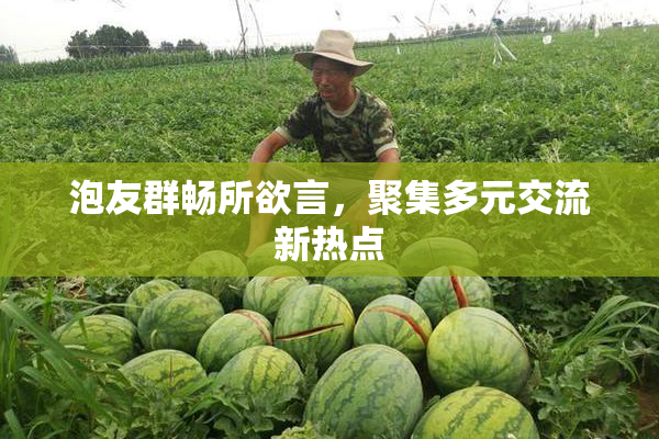 泡友群畅所欲言，聚集多元交流新热点