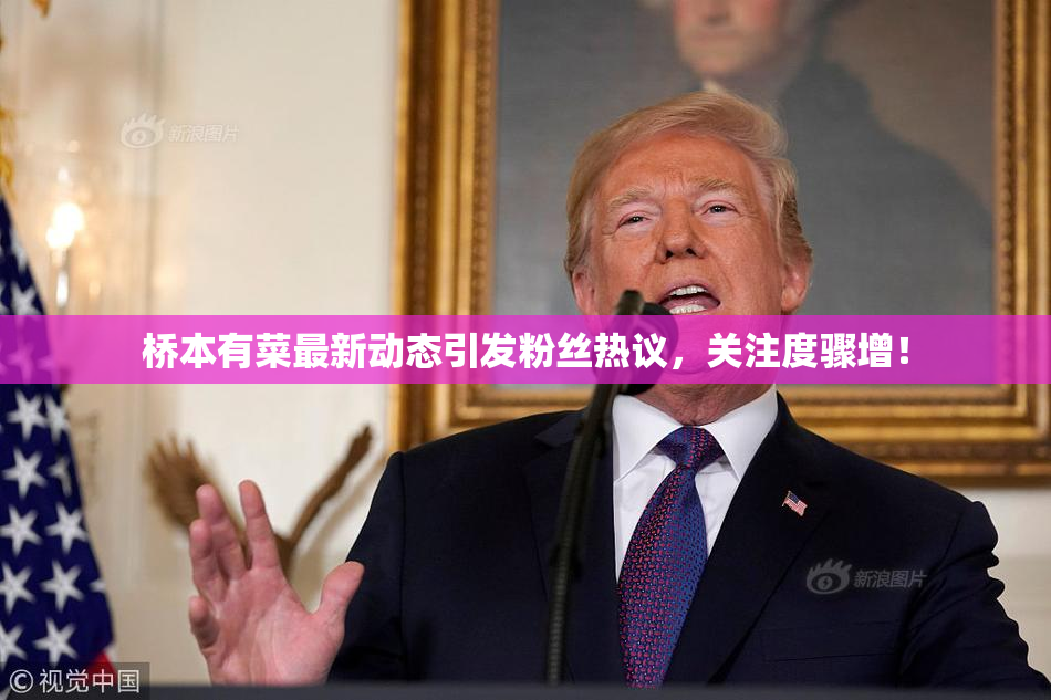 桥本有菜最新动态引发粉丝热议，关注度骤增！