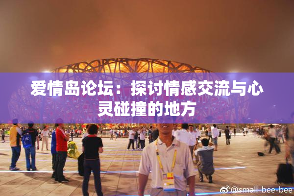 爱情岛论坛：探讨情感交流与心灵碰撞的地方
