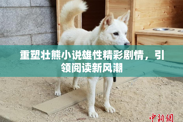 重塑壮熊小说雄性精彩剧情，引领阅读新风潮