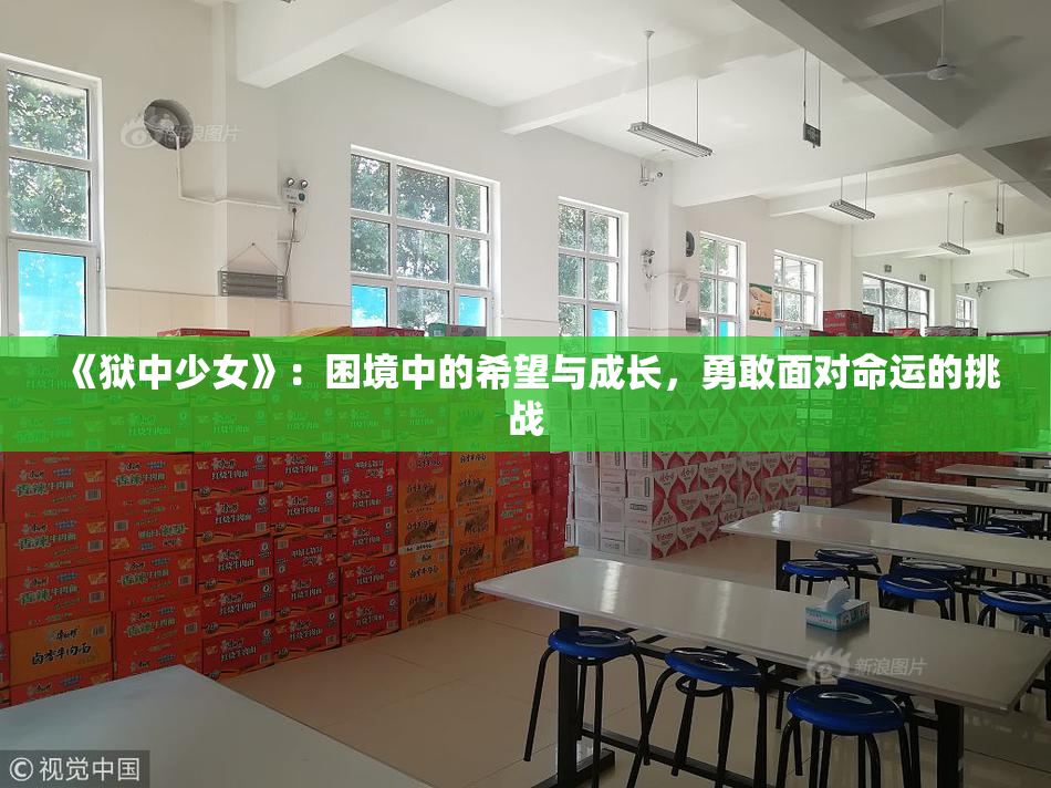 《狱中少女》：困境中的希望与成长，勇敢面对命运的挑战