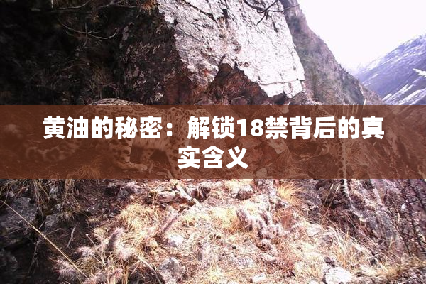 黄油的秘密：解锁18禁背后的真实含义