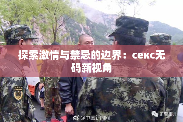 探索激情与禁忌的边界：секс无码新视角