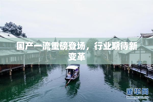 国产一流重磅登场，行业期待新变革