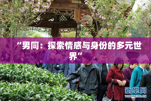 “男同：探索情感与身份的多元世界”