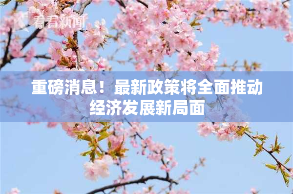 重磅消息！最新政策将全面推动经济发展新局面