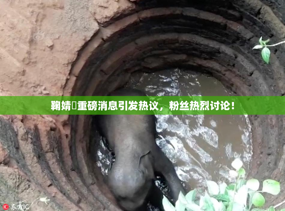 鞠婧祎重磅消息引发热议，粉丝热烈讨论！