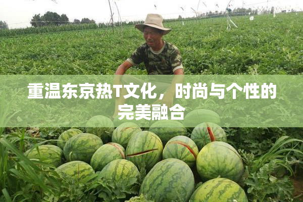 重温东京热T文化，时尚与个性的完美融合