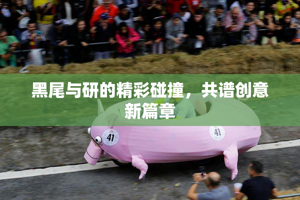 黑尾与研的精彩碰撞，共谱创意新篇章