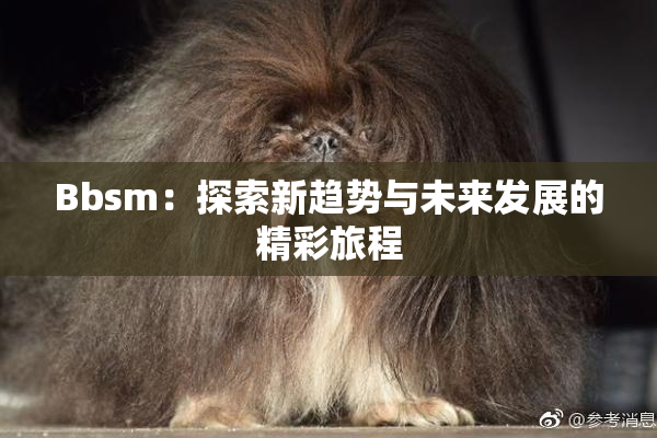 Bbsm：探索新趋势与未来发展的精彩旅程