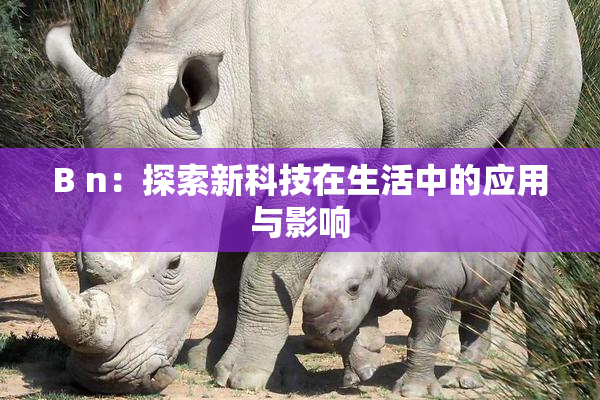 B n：探索新科技在生活中的应用与影响