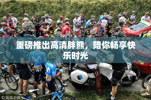 重磅推出高清胖熊，陪你畅享快乐时光