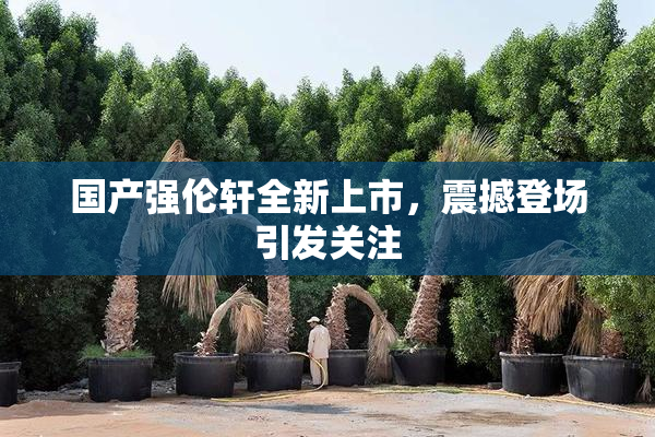 国产强伦轩全新上市，震撼登场引发关注