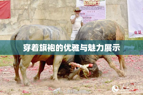 穿着旗袍的优雅与魅力展示