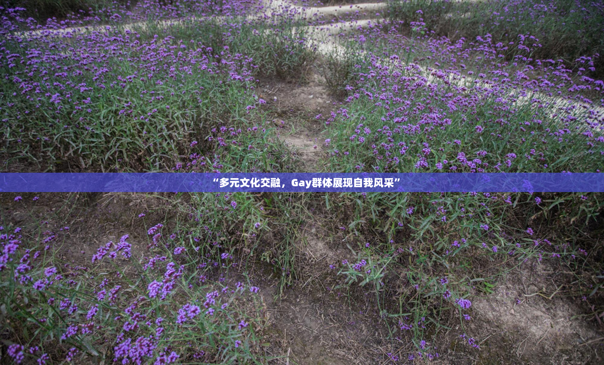 “多元文化交融，Gay群体展现自我风采”