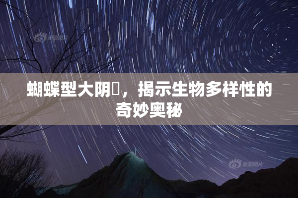 蝴蝶型大阴脣，揭示生物多样性的奇妙奥秘
