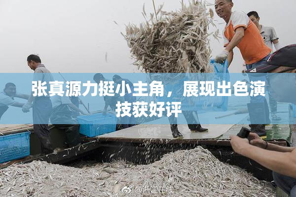 张真源力挺小主角，展现出色演技获好评